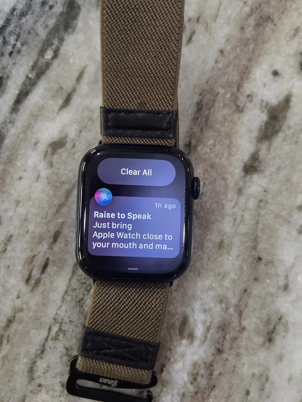 Apple Watch with Olive/Black Nylon Loop Band